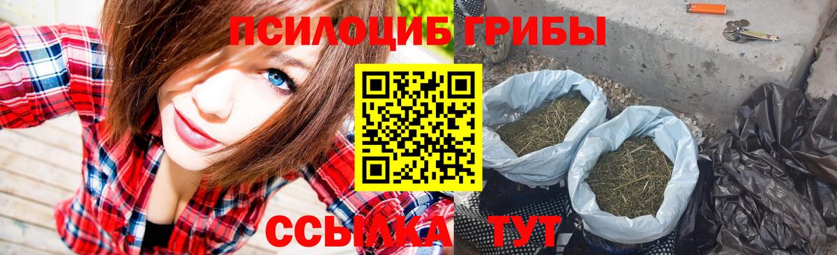 Луга  Псилоцибиновые грибы мухоморы  Вход с VPN 